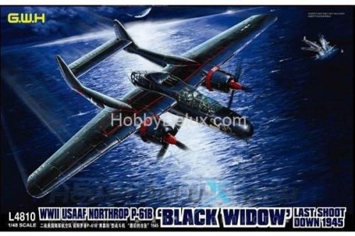 Northrop P-61B 'Black Widow' Last Shoot Down 1945
