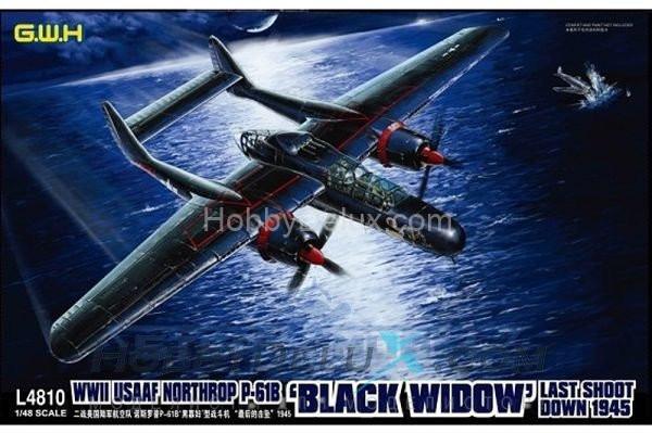 Northrop P-61B 'Black Widow' Last Shoot Down 1945 L4810