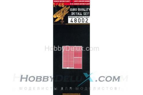 REMOVE BEFORE FLIGHT