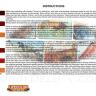 Набор красок Life Color -  и пигментов COMBO SET Rust how reproducing and painting SPG03