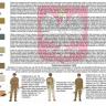 Набор красок Life Color -  THE POLISH ARMY 1939 XS05