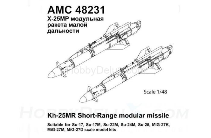Авиационная управляемая ракета Х-25МР с пусковой АПУ-68УМ2 AMC48231