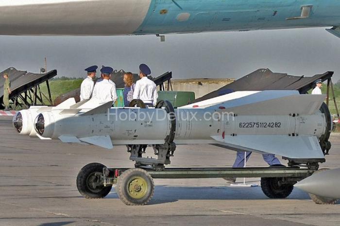 Авиационная управляемая ракета Х-29Т с пусковой АКУ-58-1 AMC48235