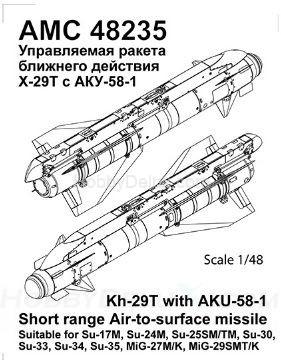 Авиационная управляемая ракета Х-29Т с пусковой АКУ-58-1 AMC48235