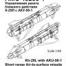 Авиационная управляемая ракета Х-29Л с пусковой АКУ-58-1 AMC48235-1