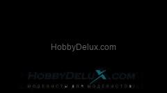 Краска акриловая Life Color - MATT BLACK FS37038 LC 02