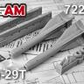 Авиационная управляемая ракета Х-29Т с пусковой АКУ-58-1 AMC72235