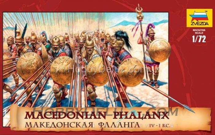 Македонская фаланга ZV8019