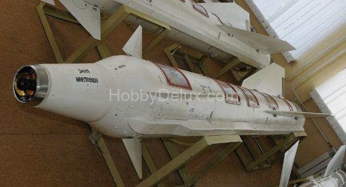 Авиационная управляемая ракета Х-29Л с пусковой АКУ-58-1 AMC72235-1