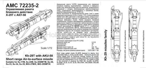 Авиационная управляемая ракета Х-29Т с пусковой АКУ-58-1