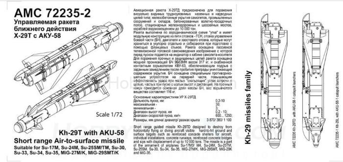Авиационная управляемая ракета Х-29Т с пусковой АКУ-58-1 AMC72235-2